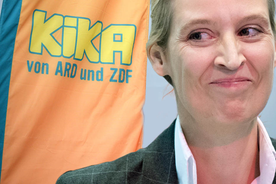 Kinderkanal abschalten und restrukturieren, fordert Weidel.