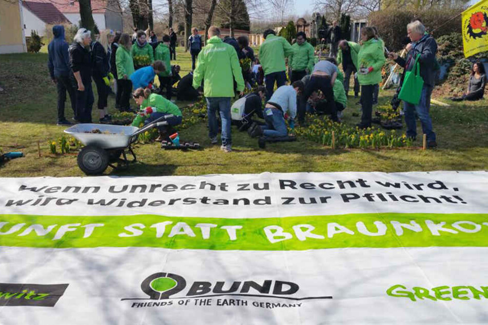 1000 Narzissen in "X"-Form wurden von den "Pro Pödelwitz"-Aktivisten gepflanzt.