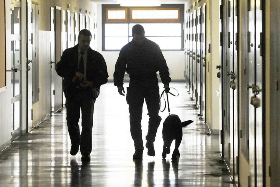 Zwei Beamte und ein Drogenhund gehen durch die JVA Dresden. Berliner Gefängnisse sollen keinen eigenen Spürhunde bekommen.