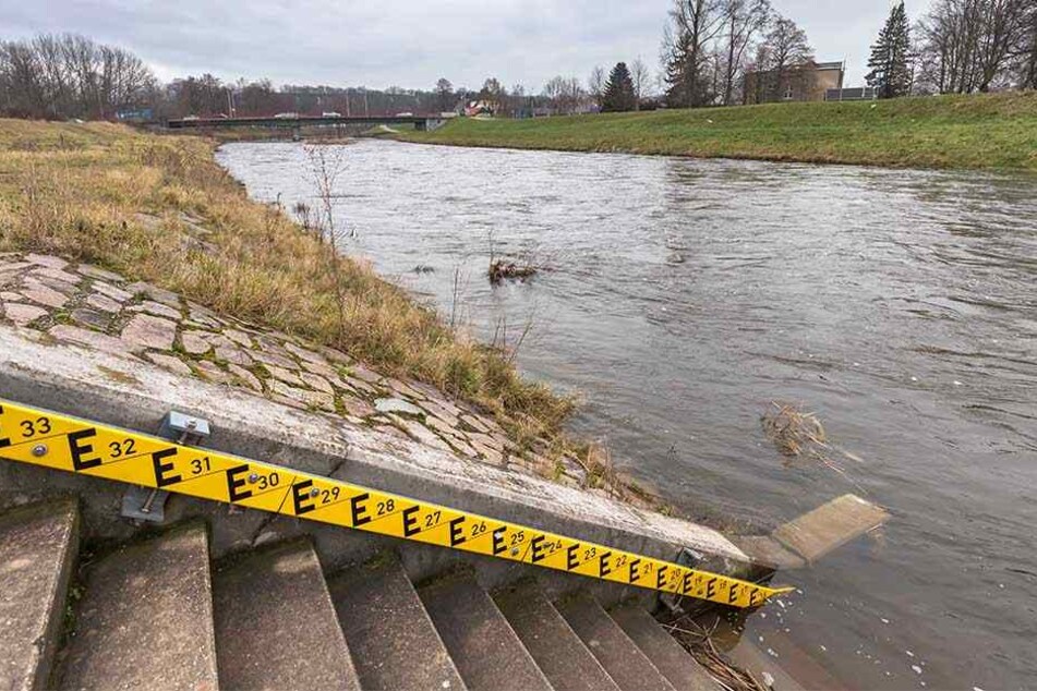 Der Pegel der Mulde in Zwickau-Pölbitz signalisiert: derzeit keine Gefahr. Erst bei 250 Zentimeter Wasserstand wird von Hochwasser gesprochen.