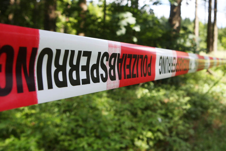 Tatort Wald: Wilderer und Holzdiebe sind hier ebenso am Werk wie Drogenproduzenten, die Rausch-Pflanzen anbauen (Symbolbild).
