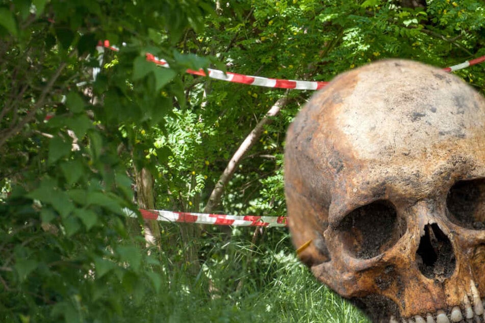 Der Schädel wies laut Polizei keine unmittelbar ersichtlichen Spuren von Gewalt auf (Symbolbild).