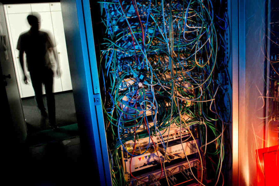 Fast so wertvoll wie ein randvoller Geld-Tresor: Ein Serverschrank mit Netzwerkkabeln.