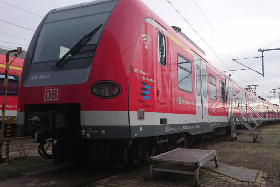 Gibt's künftig mit WLAN: Die S-Bahnen in der Region.