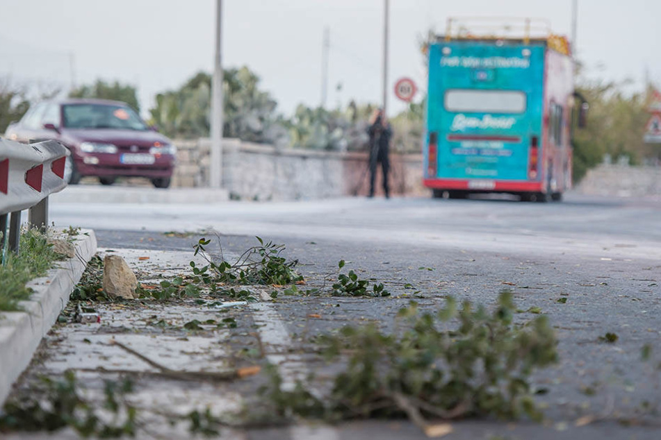 Der Touristenbus ist gegen tief hängende Baumäste eines auf der linken Seite der Straße stehenden Baumes gefahren.