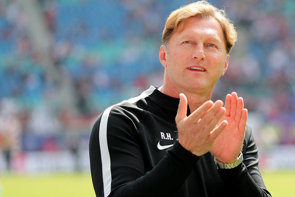 Ralph Hasenhüttl erwartet eine Hammergruppe. "Aber das ist nicht schlimm. Je besser der Gegner, desto größer der Lerneffekt."