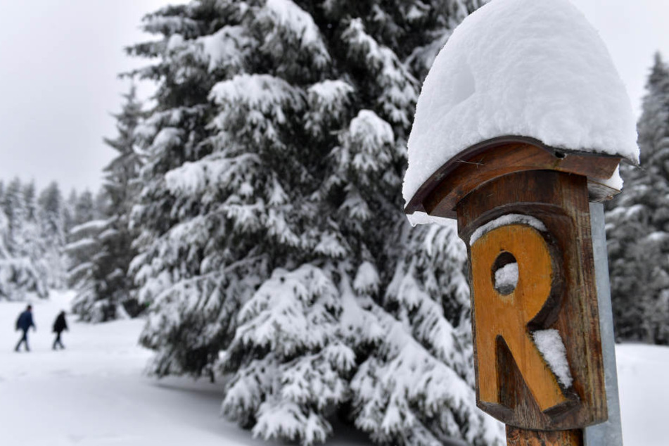 Rund um den Rennsteig kann man sich auf eine dichte Schneedecke freuen.