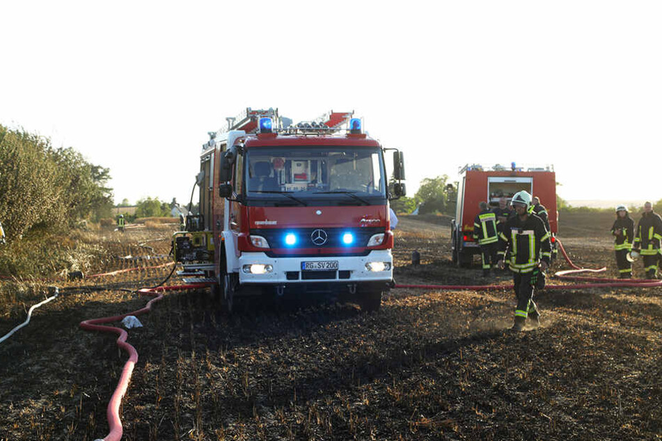 Bis an die Hecken der Bewohner drang der Brand vor.