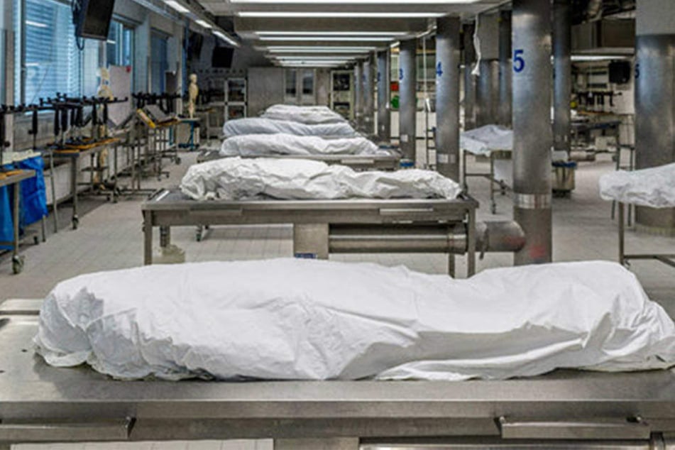 Im Präparationssaal am Institut für Anatomie liegen die Körperspender schon bereit fürs neue Semester.