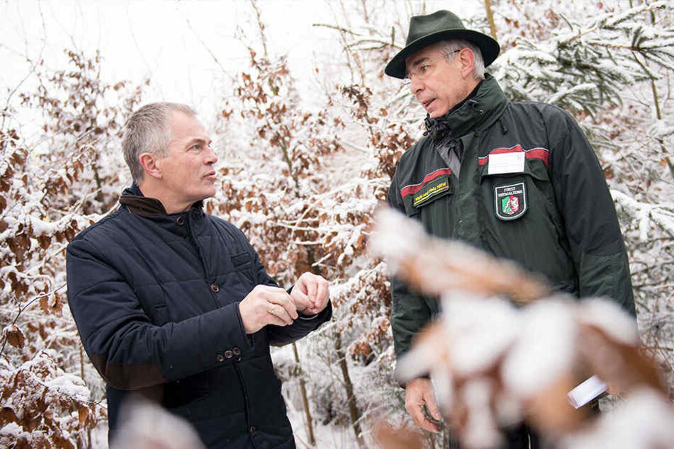 NRW-Umweltminister Johannes Remmel (Grüne) und Förster Franz-Josef Stein.