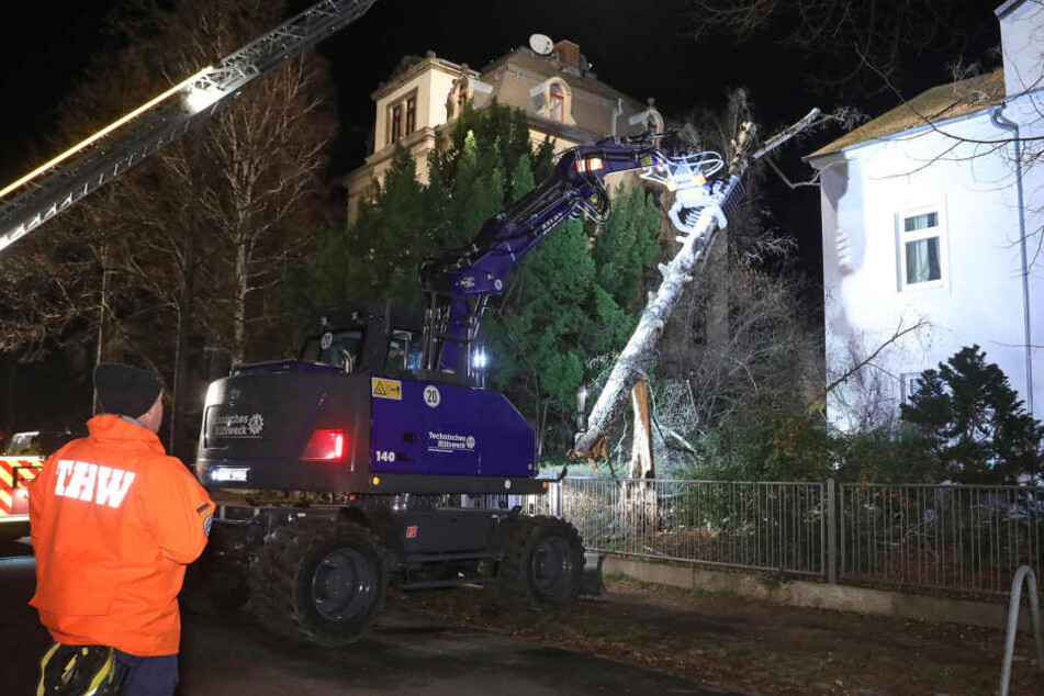 Eine Birke musste mit einem nagelneuen Bagger des THW in der Dresdner Behrischstraße von einem Mehrfamilienhaus geholt werden. Sie beschädigte das Dach und den Schornstein.