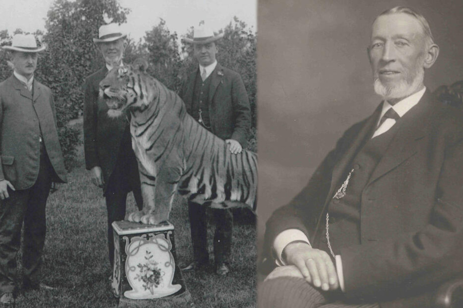 Die Schwarz-Weiß-Aufnahme aus dem Jahr 1907 (links) zeigt den Zoo-Gründer Carl Hagenbeck (Mitte) mit seinen beiden Söhnen und einem Tiger. Die zweite Aufnahme zeigt Carl Hagenbeck allein im Jahr 1907.