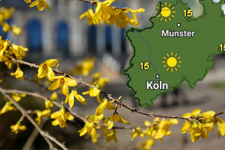 Ende der Woche sind Temperaturen bis zu 19 Grad möglich.