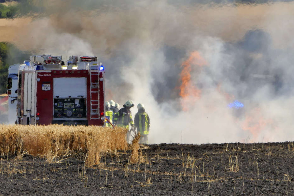 Nach etwa eineinhalb Stunden waren die Flammen gelöscht.