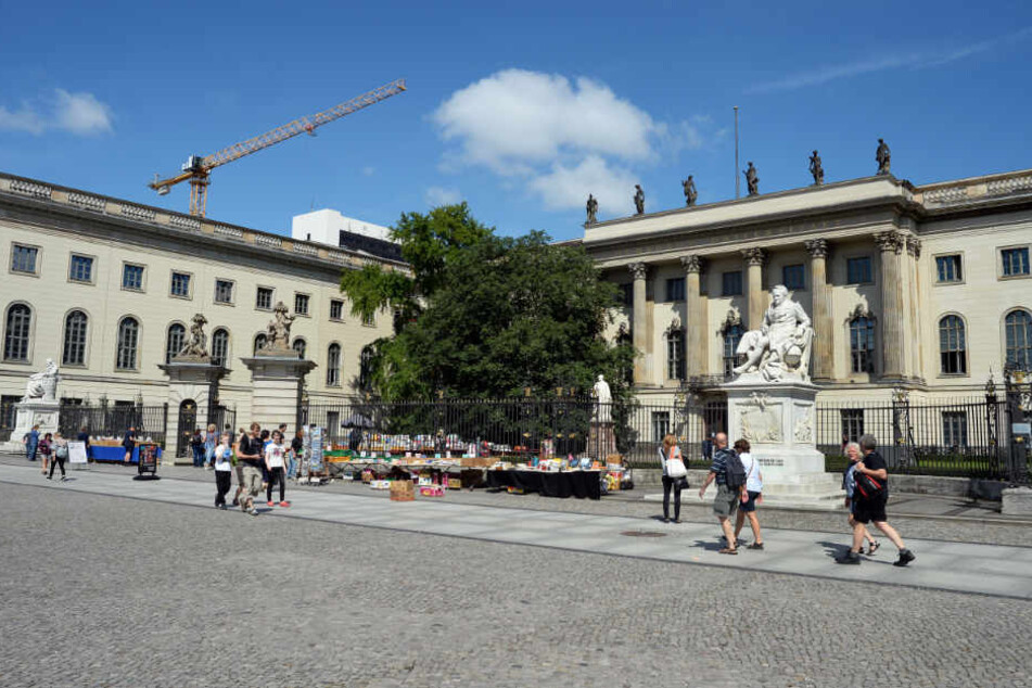 Der Haupteingang der Humboldt-Universität (HU) Berlin.