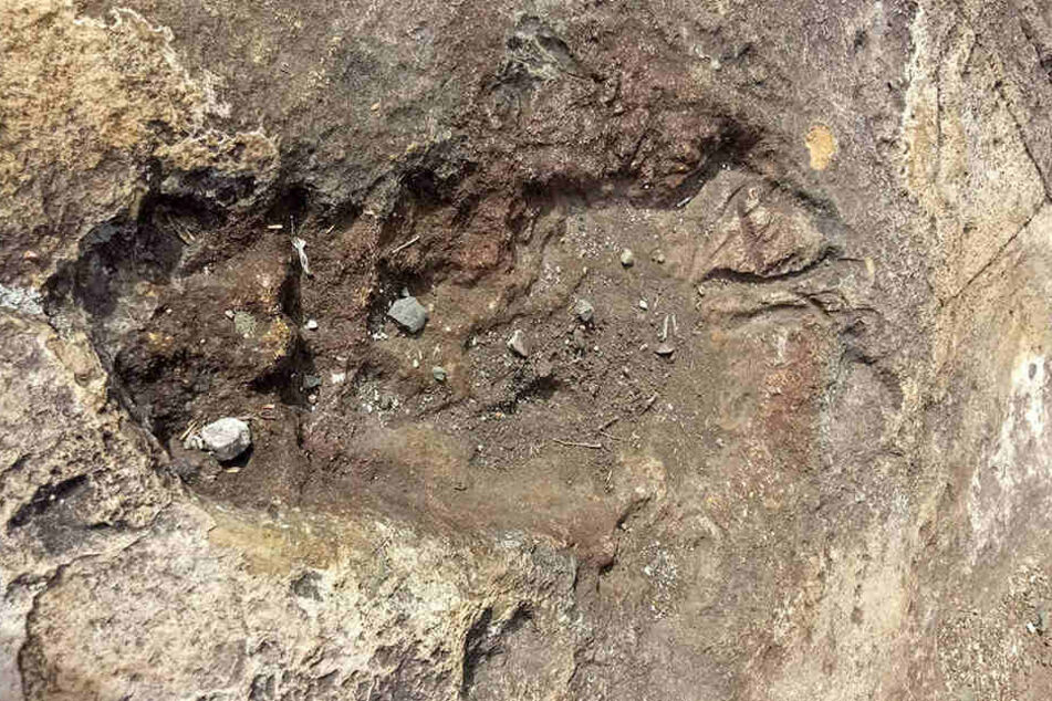Diesen Fußabdruck soll ein Yowie hinterlassen haben.