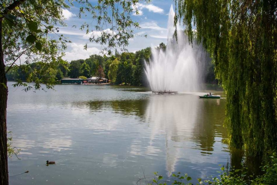 Der Schwanenteich in Zwickau besticht eigentlich durch seine Idylle, die kurzerhand von dem Exhibitionist durchbrochen wurde.