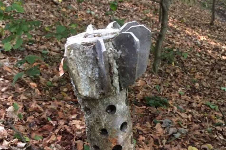 Mitten im Wald fand die 52-Jährige eine Granate in einem Baum. Gefährlich?