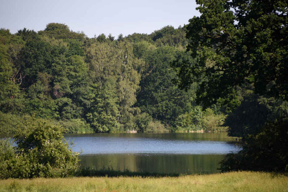 Schleswig-Holstein, Ahrensburg: Blick auf einen Teich im Landschaftsschutzgebiet Hoisdorfer Teiche.
