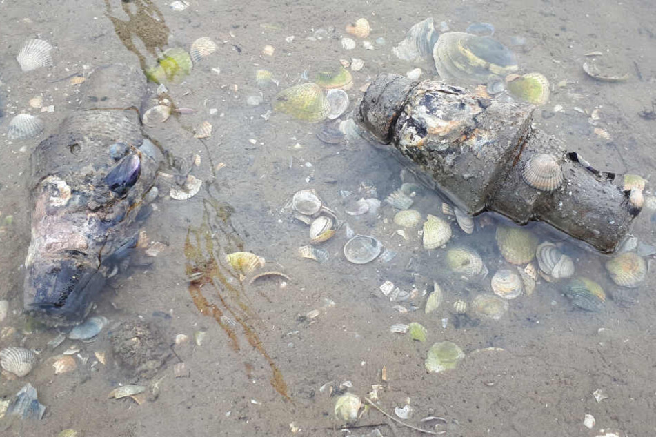 Diese Überreste des Zweiten Weltkriegs lagen im Wattenmeer.