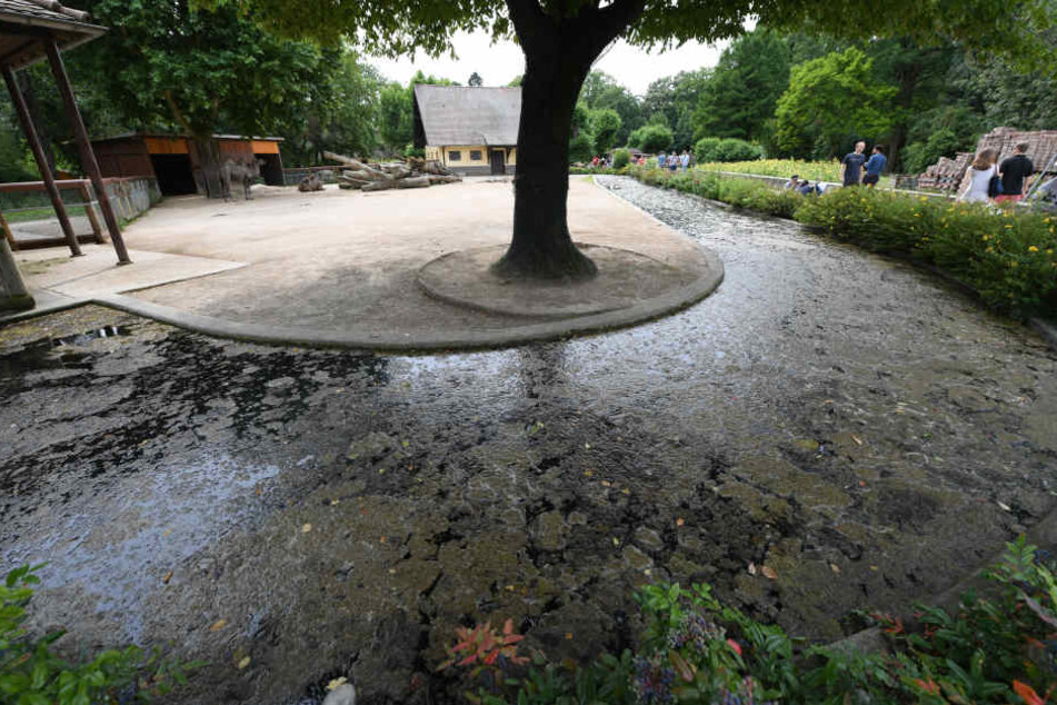 Der Zweijährige ertrank im Wassergraben vor dem Kamelgehege.
