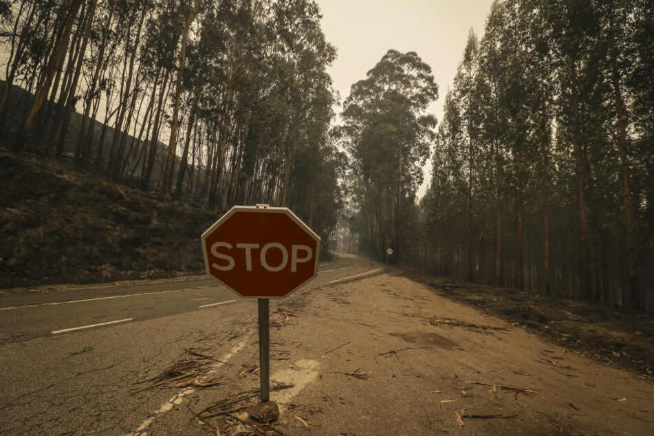 Schon wieder sind viele Straßenzüge nur noch Schutt und Asche in Portugal.