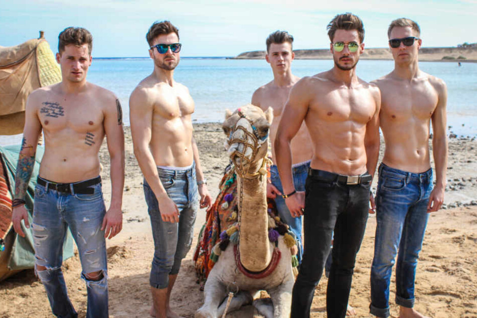 Machen beim Kamelzähmen eine gute Figur: Tobias Ritter (2.v.l.) und Sasha Sasse (2.v.r.) aus Leipzig beim Shooting im "Mister Germany"-Camp in Ägypten.