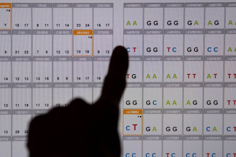Das Ergebnis einer DNA-Sequenzanalyse (genetischer Fingerabdruck) ist im DNA-Labor des Bayerischen Landeskriminalamtes (LKA) auf einem Monitor zu sehen.