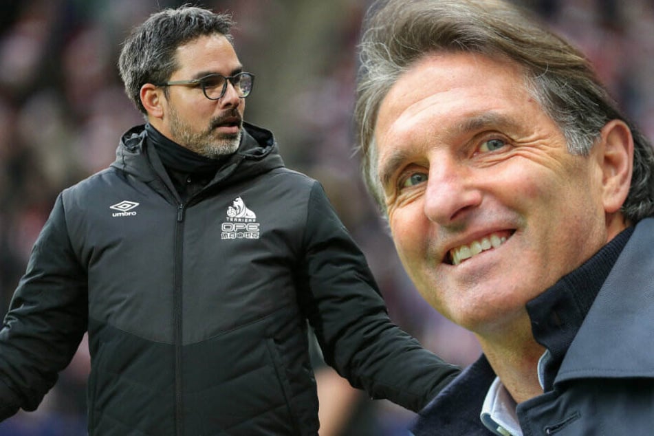 David Wagner und Bruno Labbadia sollen bei Hertha BSC auf dem Zettel stehen. (Bildmontage)