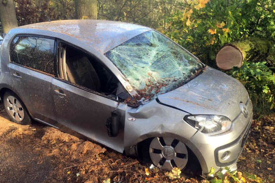 Ein VW Up wurde in Weimar von einem dicken Ast getroffen.