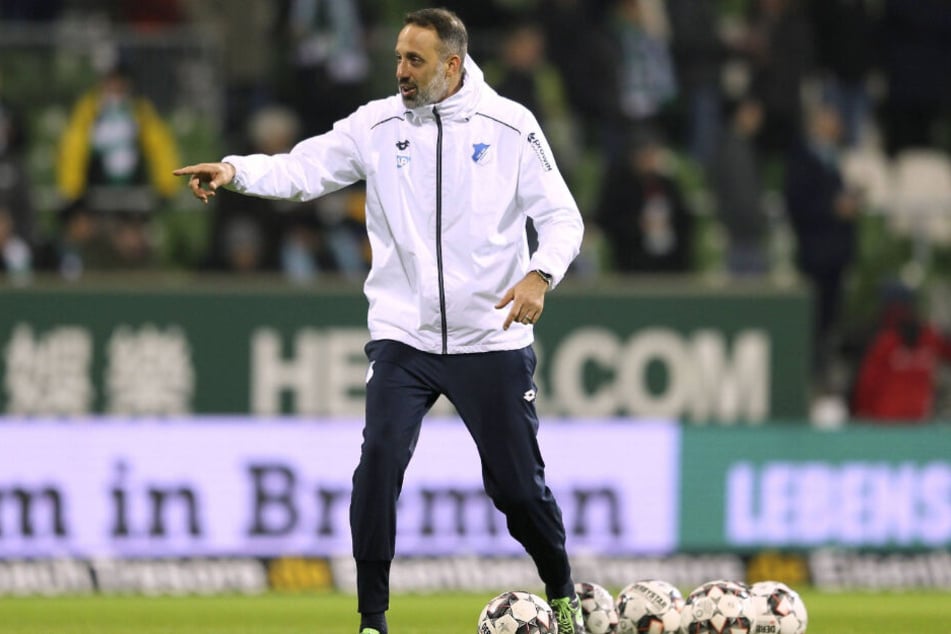 Pellegrino Matarazzo kommt von der TSG zum VfB.