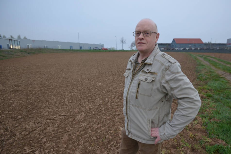 Peter Köhler (57) vom Regionalbauernverband startete die Blüteninitiative für ein Feld in der Nähe des Neefeparks.