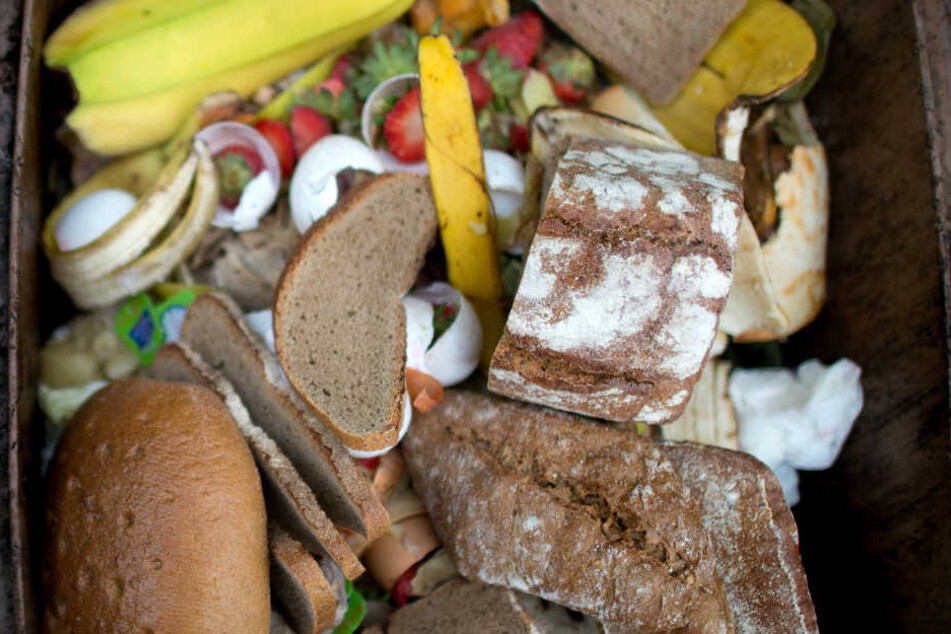 Gigantische Berge von noch tauglichem Essen landen täglich im Müll.