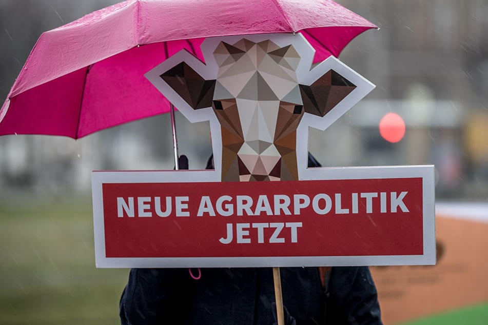 Spätestens Ende 2019 soll mit dem Massentöten männlicher Küken Schluss sein.