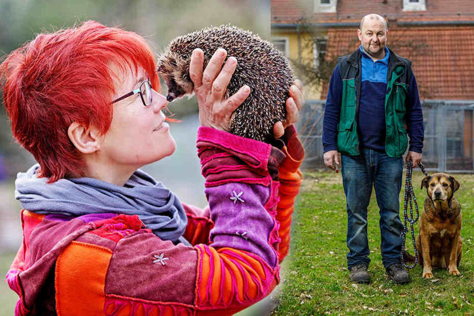 Dank vielen freiwilligen Helfern wird Sachsens Tieren geholfen.