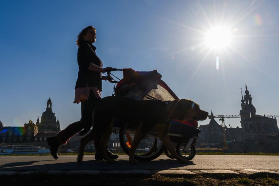 In Sachsen schien 2019 336 Stunden lang die Sonne.