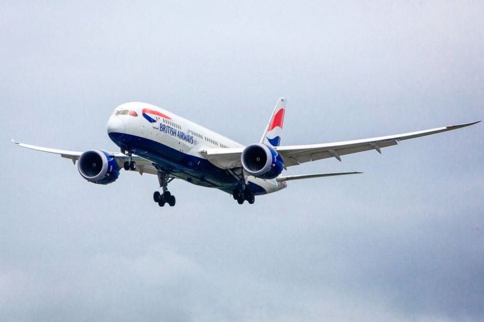 Weil sich ein Vogel in einem "Dreamliner" verirrt hatte, musste ein Flug abgesagt werden. (Symbolbild)
