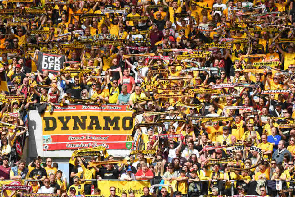 Wenn es nach Sachsens Innenminister geht, sollen Stehplätze, wie hier im K-Block bei Dynamo, bei Risikospielen abgeschafft werden.
