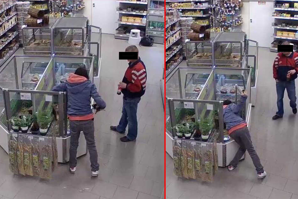 Die Überwachungskameras im Laden filmten den dreisten Meerschweinchen-Raub.