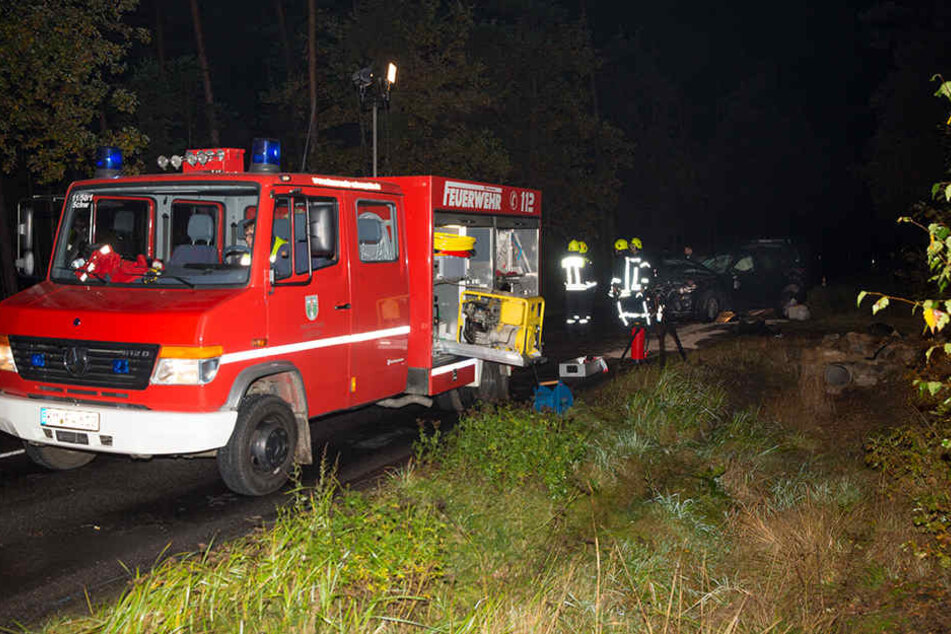 Während die Kameraden der Schwepnitzer Feuerwehr den Unfallort bereinigen, suchte ein Fährtenhund der Polizei nach dem Fahrer.