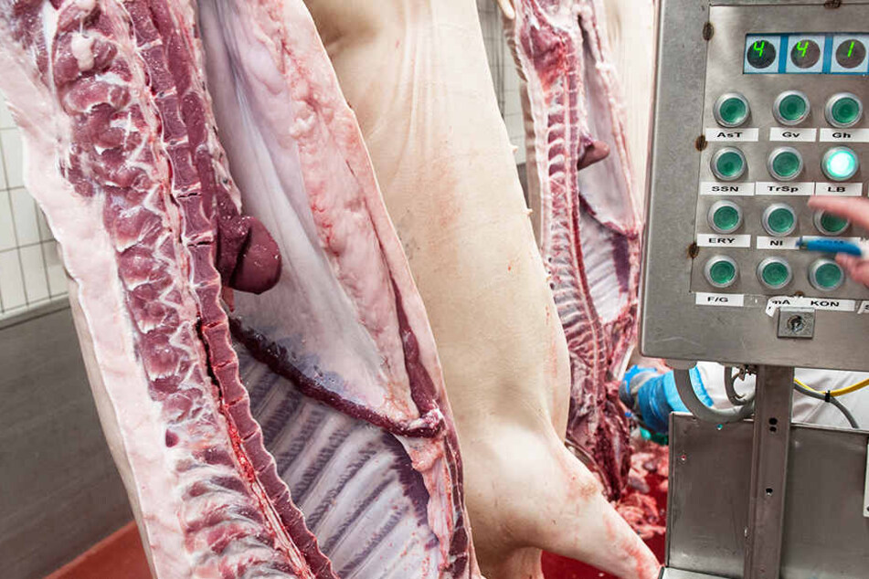 Rund 9570 Tiere wurden in diesem Jahr auf heimischen Höfen geschlachtet. (Symbolbild)