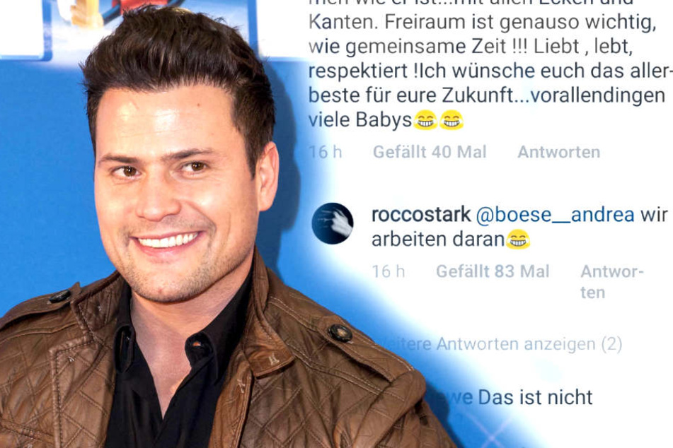 Nach ihrer Blitz-Hochzeit planen Rocco Stark (32) und seine Nathalie bereits den nächsten Schritt.