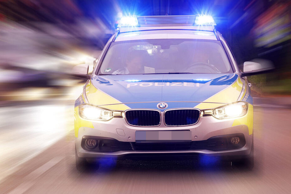 Der Tier-Leichnam wurde mit zur Polizeidienststelle genommen.