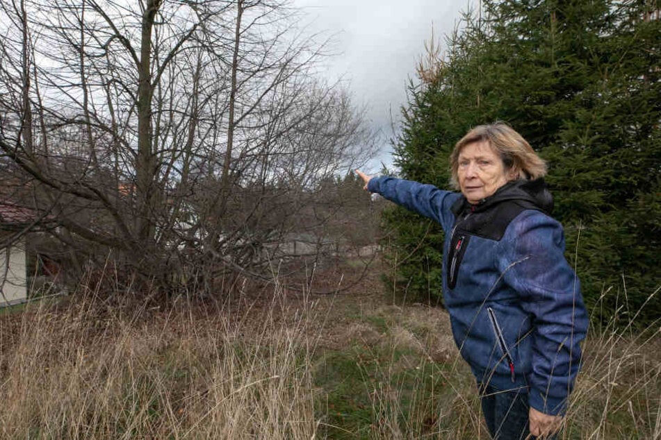 Ilse H. (72) zeigt, wo der Modellflieger einst im Busch landete. Der Fall beschäftigte auch die Justiz.