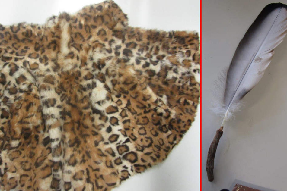 Leoparden und Andenkondore sind streng geschützt.
