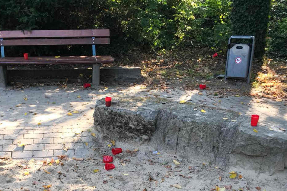 Unweit des Mülls befindet sich ein Mülleimer, der offenbar ignoriert wurde.