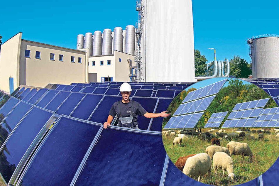 „eins“-Obermonteur Christoph Kahle (27) an seinem Solarfeld-Arbeitsplatz. In der Mitte ist neue Warmwasser-Speicher zu sehen.