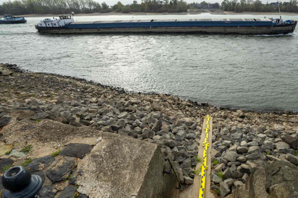 Die Folgen des trockenen Wetters: Der Rhein führt nur wenig Wasser.