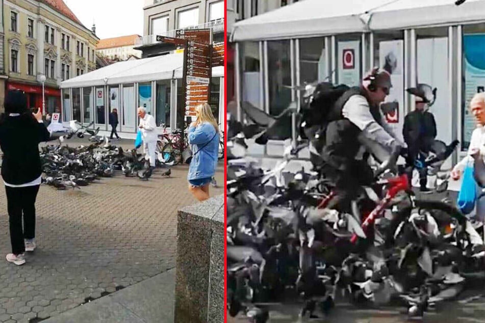 Wie kann man nur so herzlos sein?