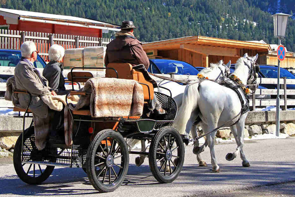 Die Deutschen machten einen Ausflug mit der Kutsche. (Symbolbild)